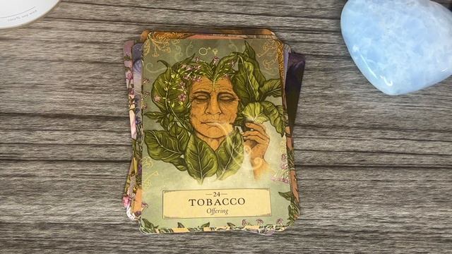 Herbal Astrology Oracle Deck Flip-Through & First Impressions (*spoiler - I love it!!) смотреть онлайн