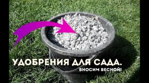 Какие удобрения вносить весной? Весенняя подкормка для сада!