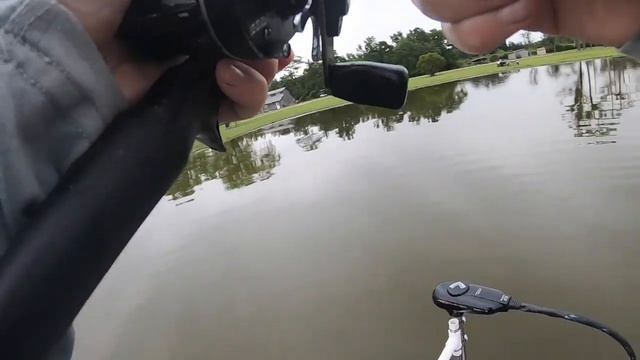 VINTAGE Baitcaster Reel vs NEW Baitcaster Reel FISHING CHALLENGE!! смотреть онлайн
