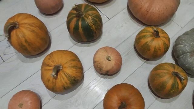 Тыква на Halloween смотреть онлайн