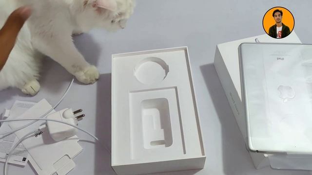 Finally i bought ipad Mini 5 For Pubg || TechBot смотреть онлайн