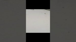 монтаж гвл в оштукатуренном срубе.mp4