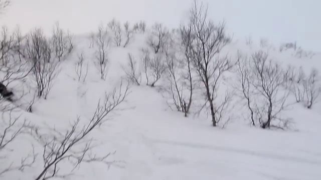 Тест гусянки 51 мм смотреть онлайн