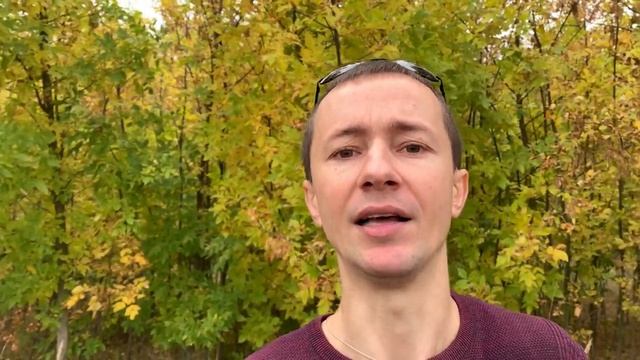 Почему Твоя Жизнь - ГавНо?! Бухать - Это Здорово!? Влияние Алкоголя На Человека? Манипуляции Людьми смотреть онлайн