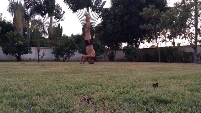 Стойка на голове через бакасану смотреть онлайн