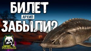 RF4 ЭТА РЫБА САМА ПРИВЕЛА НА БАЗУ ЗА БИЛЕТОМ #рр4