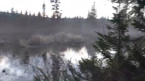 48 серия Тайга утром и в Сумерках Ночь Изумрудный берег надо проверять  Рыбалка река Сухой Пит