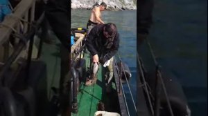 рыбалка в Магадане мыс "Чирикова"  (треска, ёрш)