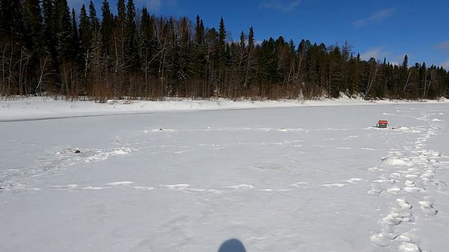 На таежные реки за хариусом / Весенняя рыбалка на хариуса / Ходовая рыбалка на хариуса весной