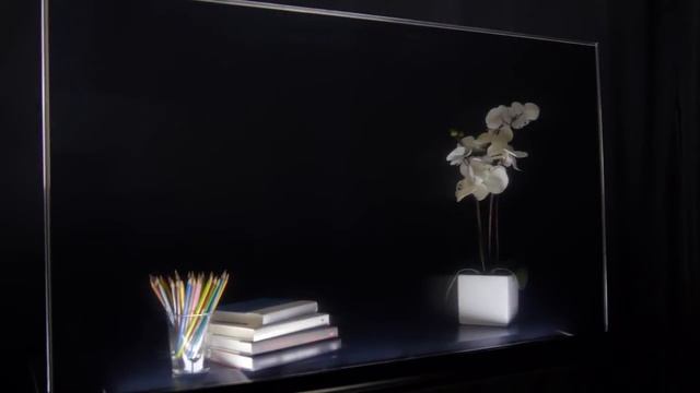 Прозрачный OLED-дисплей Planar 55" смотреть онлайн