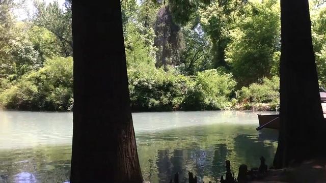 Природа на секунду, город Ташкент, Ботанический сад. смотреть онлайн