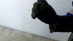 как заменить тормозной диск Хонда Фит