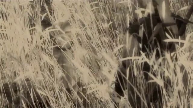 Яков из Альдерсберга (Альвин) смотреть онлайн