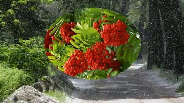 Снег тополей.mp4