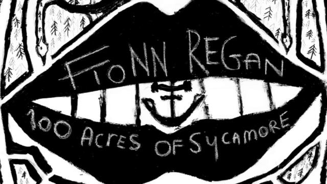 Fionn Regan - Dogwood Blossom смотреть онлайн