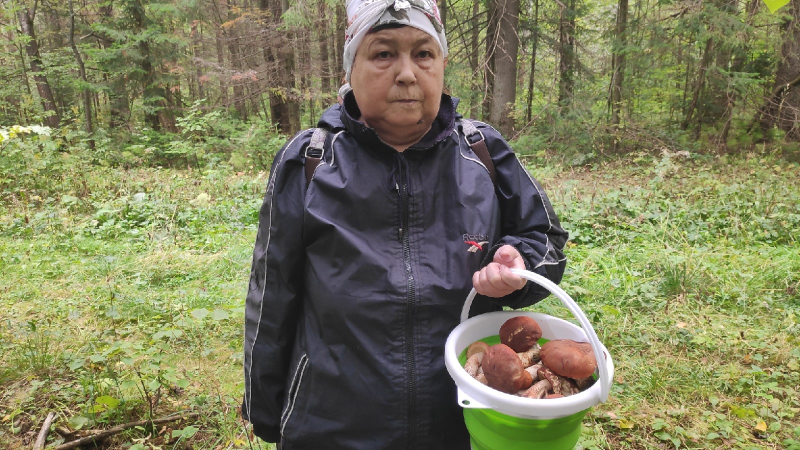 В лес по грибы 12 сент 2022 смотреть онлайн