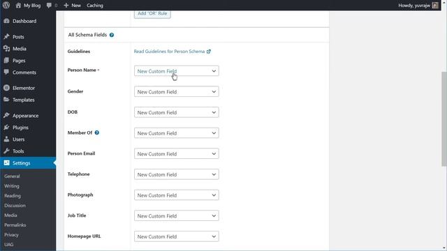 Add Person Schema To Your Website with Schema Pro смотреть онлайн