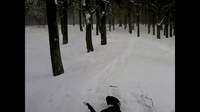 нашёл видео моего первого питбуля смотреть онлайн