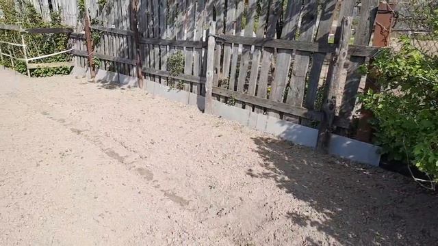 14 мая. Сколько томатов высажено на этот день. смотреть онлайн