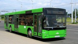 «Транспорт в России». Автобус «МАЗ-203» | «Transport in Russia». Bus «MAZ-203»
