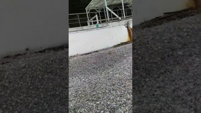 Крым - Форос, кристально чистая вода, пляж из мелкой гальки очень красиво. смотреть онлайн