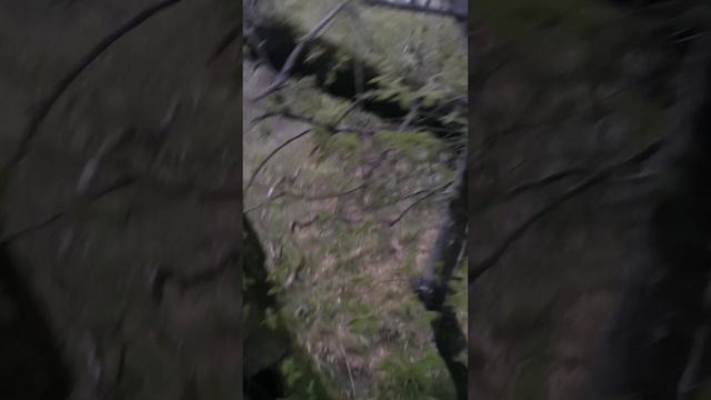 Расслабляющая музыка для медитации и вхождения в транс. Диджериду и Шаманский бубен. Быстро уснуть. смотреть онлайн