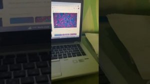 Как поменять обои на ноутбуке легко?