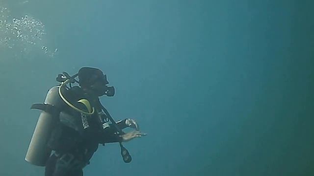 Scuba diving expedition in Cayo Coco Cuba September 2015 смотреть онлайн