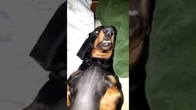 Утренний сон с открытым ртом и глазами, он самый крепкий смотреть онлайн