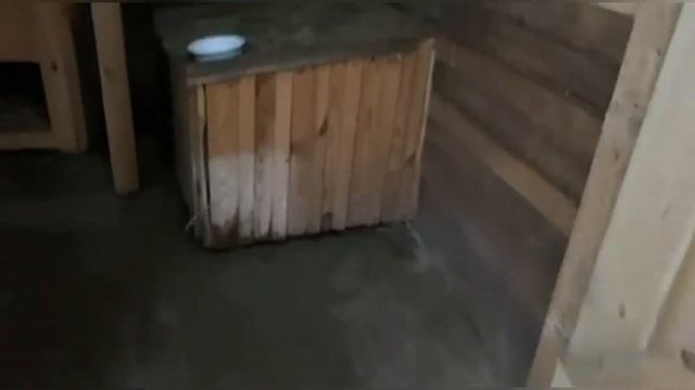 Как найти всем место в приюте? Делим новые вольеры... смотреть онлайн