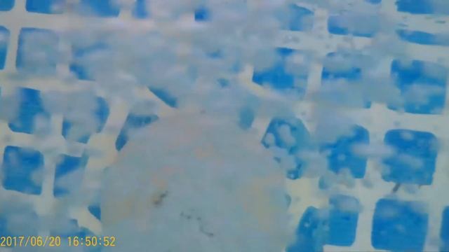 Каркасный бассейн intex 305см * 76см Проверяем бассейн на даче Бассейн Intex каркасный 305см x 76с смотреть онлайн