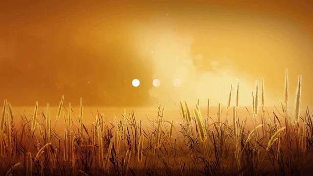 Fields Of Gold | Eva Cassidy Karaoke