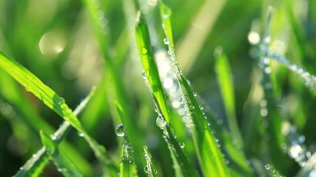 Для души... Я на счастье подарю вам осень.Саксофон - Гитара-Saxophone-Guitar-Осенний сборник 2021 смотреть онлайн