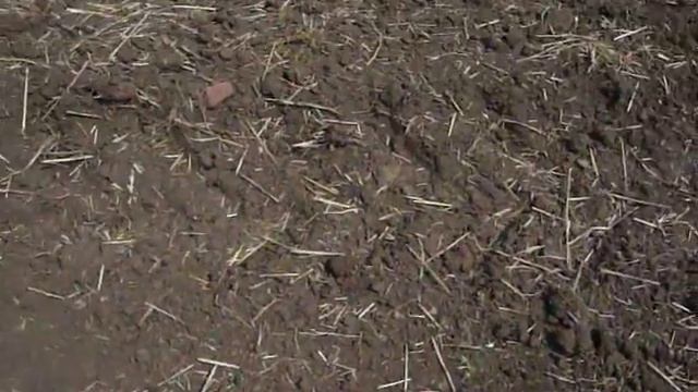 Фишер Ф-75 - скорост на възстановяване в реални условия смотреть онлайн