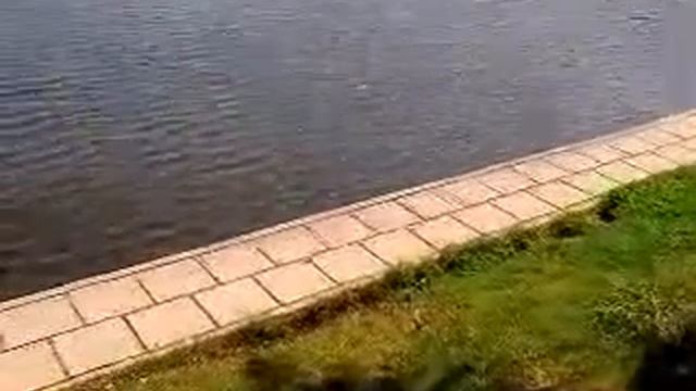 Терлецкие пруды.Автор Николай Макуха смотреть онлайн