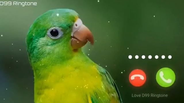 Cute sms message Ringtone | Message Tone | Cute sms Ringtone | Love ringtone | notification tone смотреть онлайн