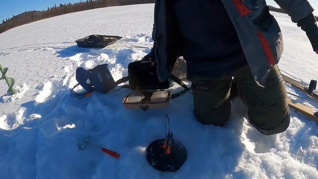 Кольский полуостров| Озёра Мурманской области| Зимняя рыбалка| На окуня| Март смотреть онлайн