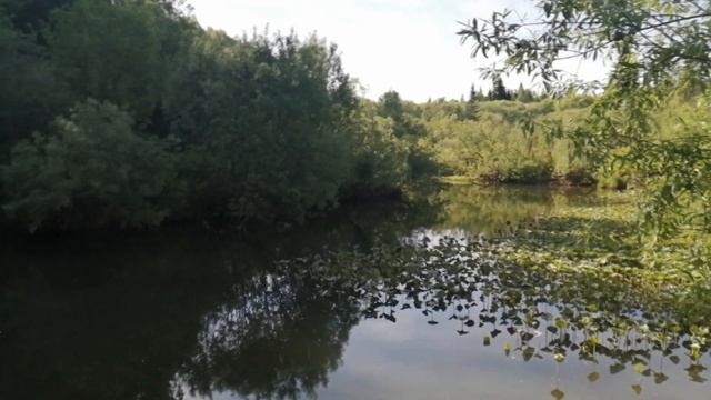 Хариус на таежном ручье в Кузбассе, июнь 2021! смотреть онлайн