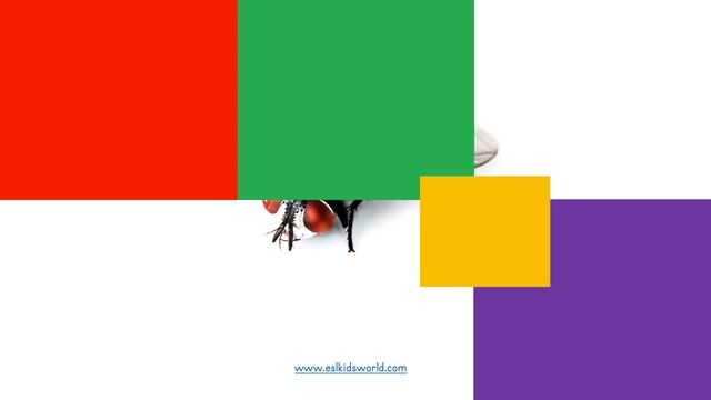 ?Insects Hidden Pictures Game | Find Insects For Kids Education