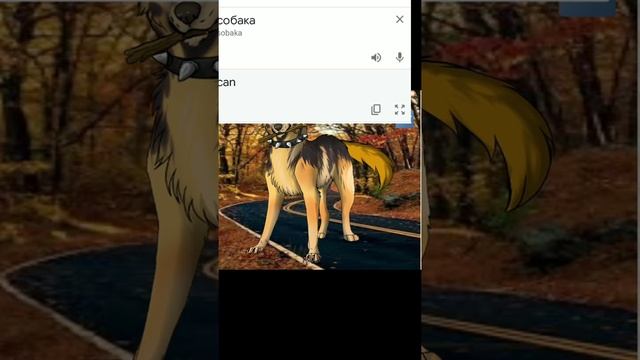 как пишется "собака" на разных языках?? смотреть онлайн