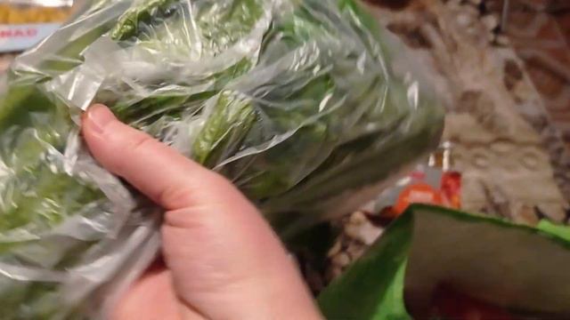 SVUOTA LA SPESA CONAD...ultime cose...e INDOVINA IL GATTO... смотреть онлайн