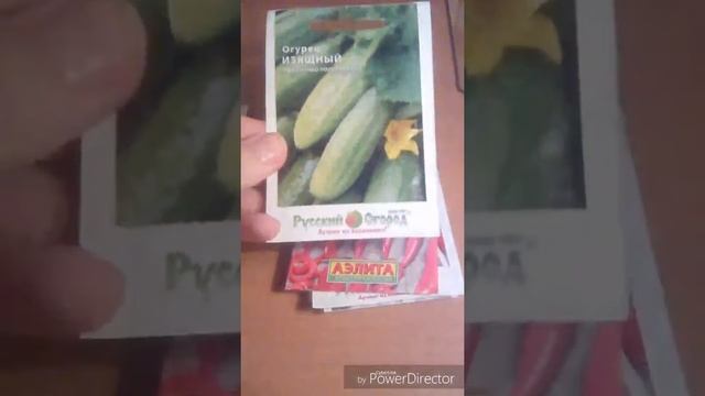 Арбуз на балконе. 1день. смотреть онлайн