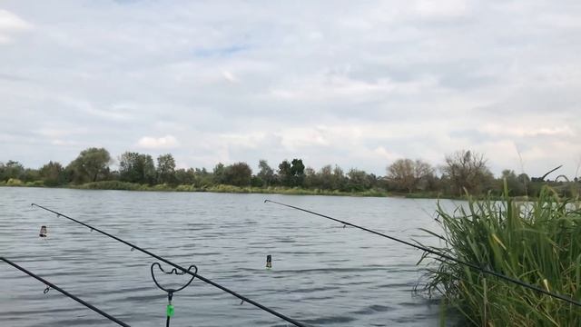 Отчёт по рыбалке за 18 сентября / Маяки / Днестр смотреть онлайн