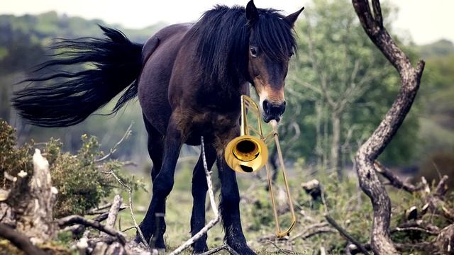 “The Dinosaur, the Dodo and the Unicorn” - Cool Tunes for Kids by Eric Herman and the Invisible Ban смотреть онлайн
