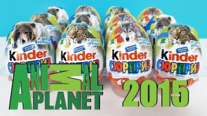 Киндер Сюрпризы ANIMAL PLANET 2015 Обзор Игрушки ПЛАНЕТА ЖИВОТНЫХ Rare Kinder Surprise eggs unboxing