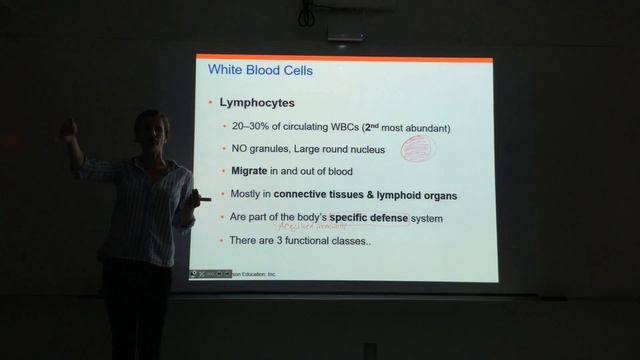 The Blood: Part 3.2 смотреть онлайн