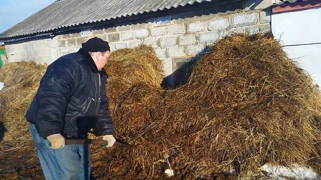 Обзор коровника. Очень удобный сарай для содержания коровы. Чистка сарая. смотреть онлайн