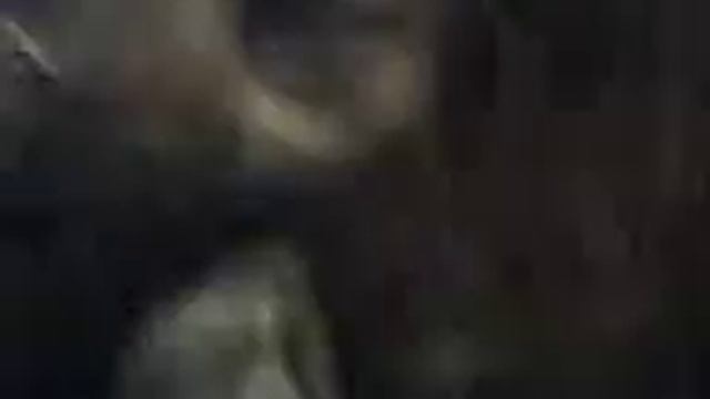 Собака в парике смотреть онлайн
