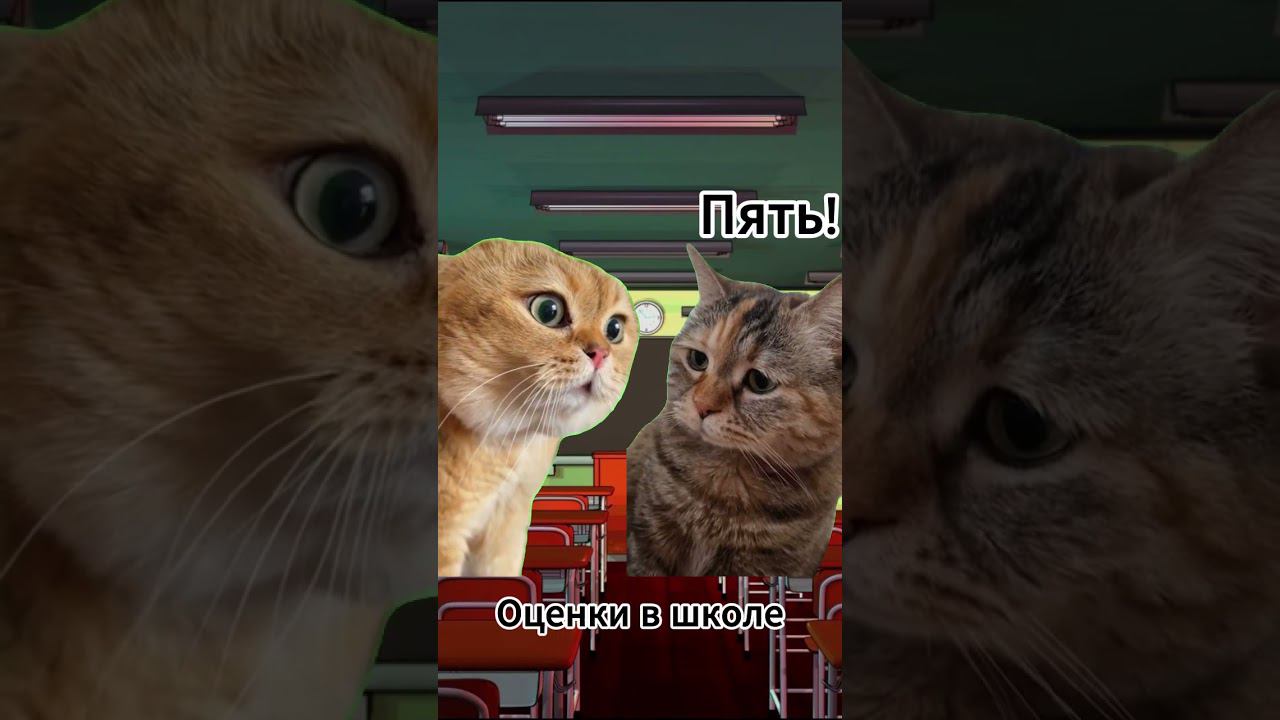 Ещё один прикол с милыми котами #shorts смотреть онлайн