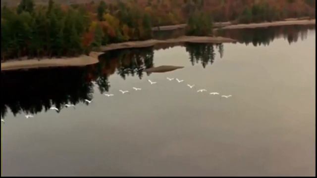 Зинаида Миркина. Ты думаешь - можно исчезнуть ? смотреть онлайн